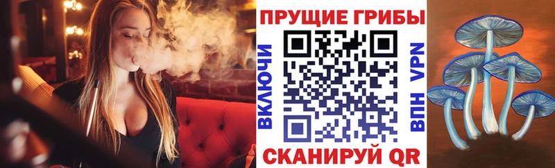 Галлюциногенные грибы MAGIC MUSHROOMS  kraken онион  Дедовск 