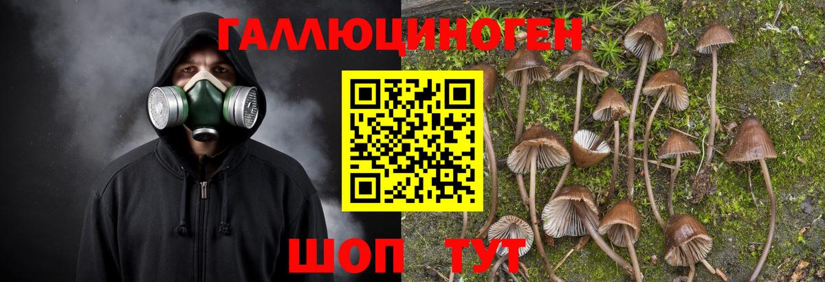 Псилоцибиновые грибы MAGIC MUSHROOMS Дедовск