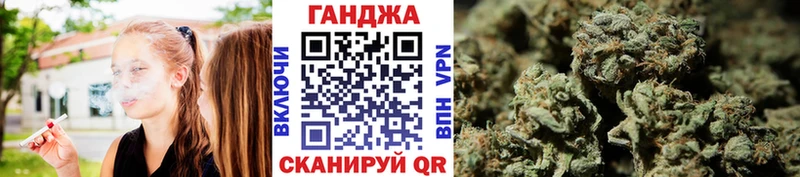 Бошки марихуана сатива  Дедовск 